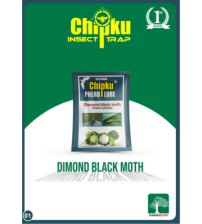 Chipku Diamond Black Moth Lure (Pack of 10)